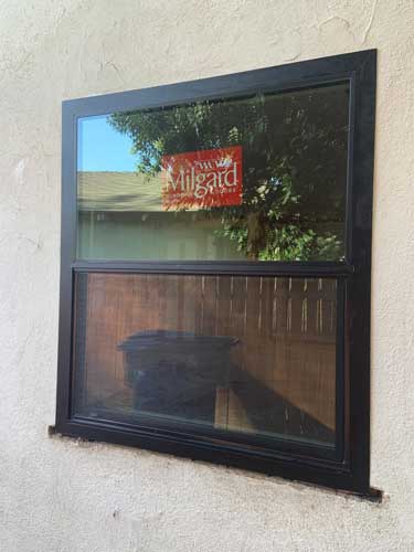 Single Hung Window Installation